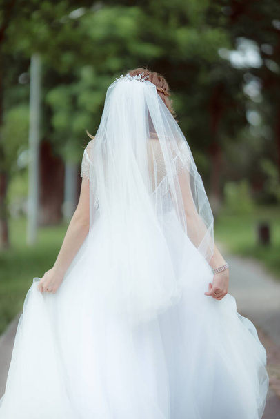 wedding day, bride in wedding dress and veil walking in park  - Fotoğraf, Görsel