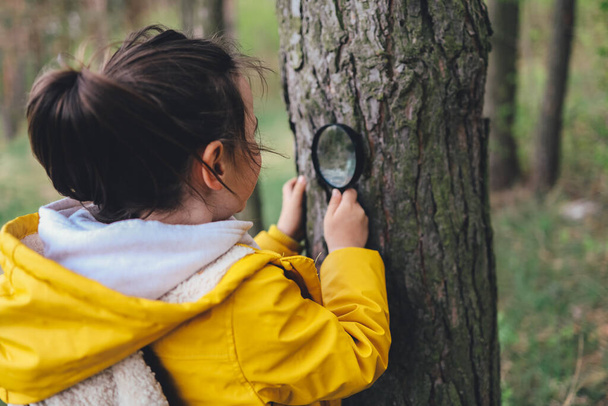Little explorer, girl with magnifying glass plays in the forest. Search and research. Kids club, camping. - 写真・画像