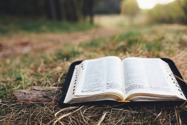 Open bible in a beautiful forest clearing, space for your text - Foto, Bild