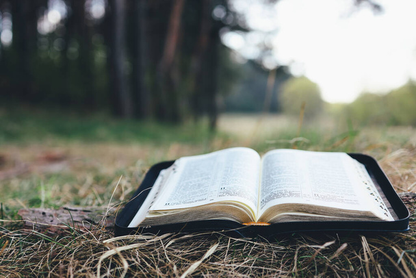 Open bible in a beautiful forest clearing, space for your text - Photo, image