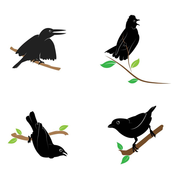 Illustrazione vettoriale modello logo uccello - Vettoriali, immagini