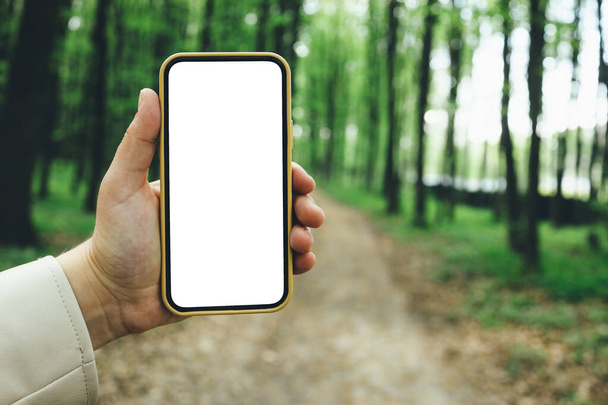 Phone with an isolated screen in a hand on a background of a forest, a place for your text. - Foto, afbeelding