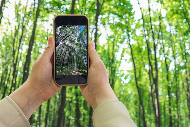 Phone in hand with a photo of the forest. - Foto, Bild