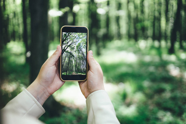 Phone in hand with a photo of the forest. - Foto, Imagen