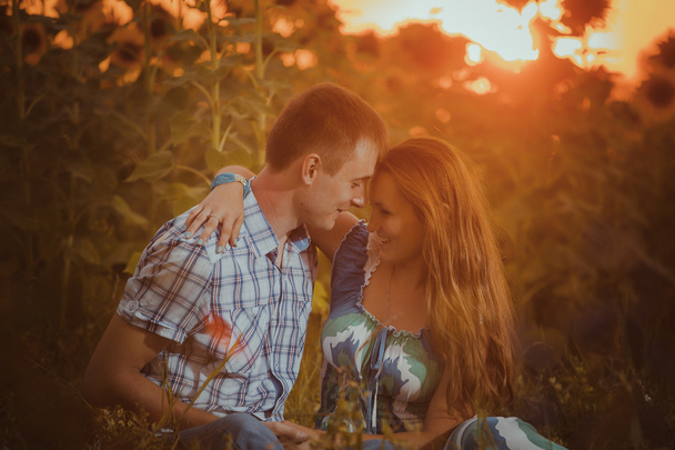 Beau couple s'amusant dans les champs de tournesols
 - Photo, image