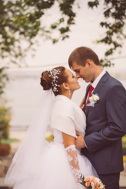 young family, wedding, newlyweds - Fotografie, Obrázek