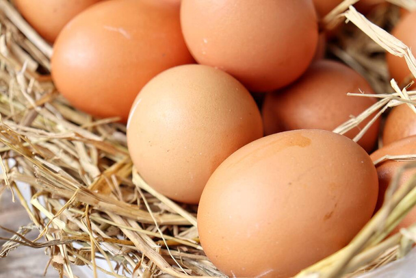 Νωπά αυγά σε αποξηραμένα φύλλα - Φωτογραφία, εικόνα