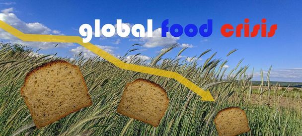 Food supply crisis. Problems with the supply of wheat and flour. Global food crisis.The threat of hunger to the whole world.Ukraine's war on Russia. - Foto, Bild
