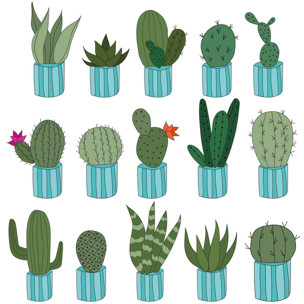 Set Cute doodle cacti in blue pots. Vector illustration with cute indoor plants. set of 15 plants in identical pots - ベクター画像