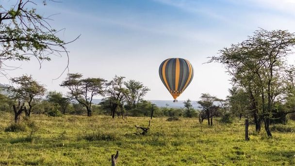 Air balloon above the savannah in the Serengeti reserve in Tanzania at  sunrise, African panorama - Photo, Image