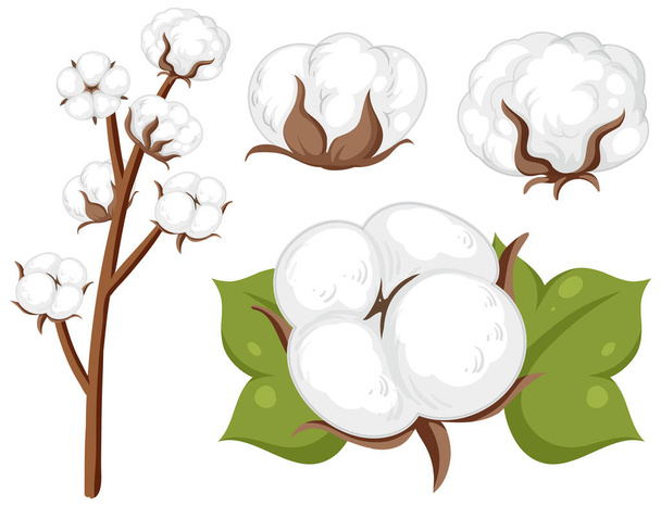 Set of cotton flowers isolated illustration - Vector, Image