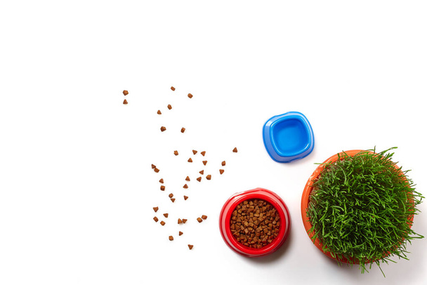 Flat lay composition with accessories for a cat, such as tasty dry food scattered around and water in a bowls and green grass isolated on white background. Pet care and feeding concept. Copy space - Foto, Imagen