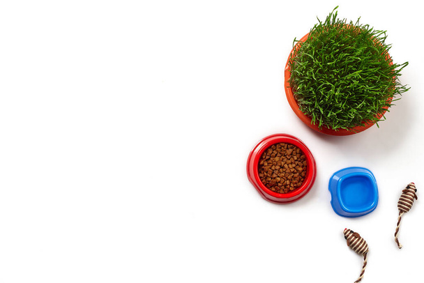 Flat lay composition with accessories for a cat, such as delicious dry food and fresh water in a bowls, funny toys as mouses and green grass isolated on white background. Pet care and feeding concept - Foto, immagini