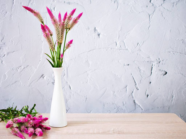 Pink flowers in vase on table with white cement wall texture background or wallpaper, copy space Celosia argentea L. Plumed Cockscomb ,Chinese Medicine Kurdu Amaranthaceae Troublesome Widespread Weed  - Zdjęcie, obraz