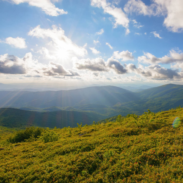 alpine meadows of runa mountain. stunning countryside landscape of trascarpathia in evening light. hill rolling down in to the distance. valley beneath a sky with beautiful cloudscape - Fotó, kép