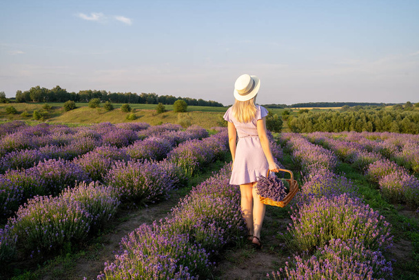 stylish beautiful young woman with hat on, wearing lilac dress, holds wooden basket with flowers in a lavender field. Concept of beauty and happiness. Matching colors trend lilac and violet. - Φωτογραφία, εικόνα