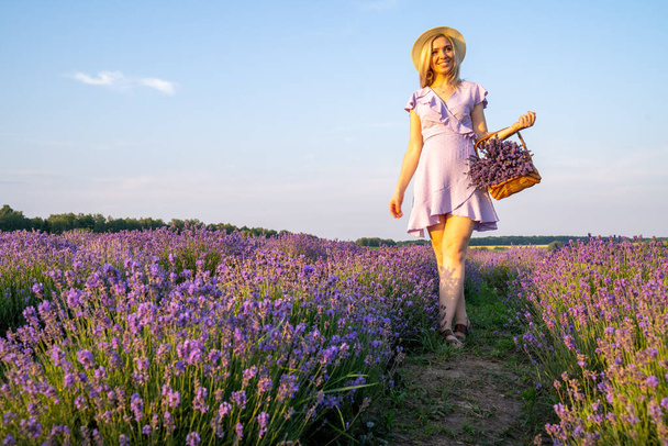 stylish beautiful young woman with hat on, wearing lilac dress, holds wooden basket with flowers in a lavender field. Concept of beauty and happiness. Matching colors trend lilac and violet. - Zdjęcie, obraz