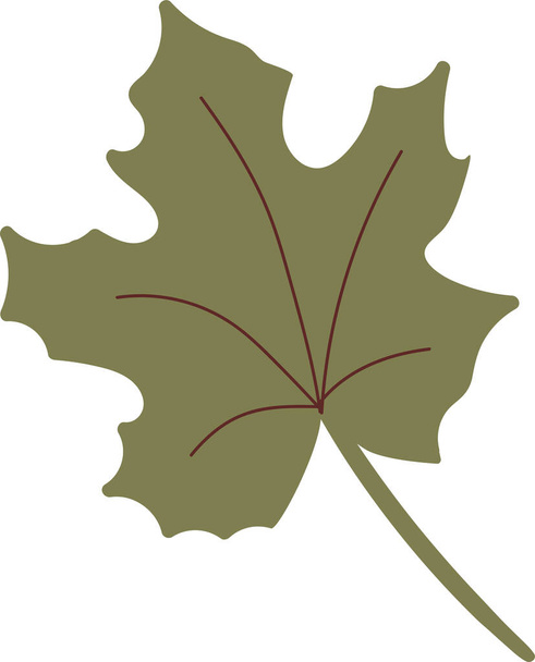 Simple autumn leaf in green color. Autumn design element. Vector illustration - Wektor, obraz