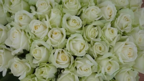 Blooming white light green roses bouquet top view background. Beautiful rose flowers, close-up. Wedding backdrop, Valentines Day concept - Felvétel, videó