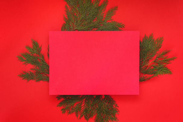 Blank red sheet of paper with green twigs on red background. Christmas and New Year background. Top view, place for text - Фото, изображение