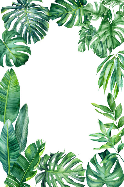 Frame from palm leaves and flowers on isolated white background, watercolor tropical design. High quality illustration - Photo, Image