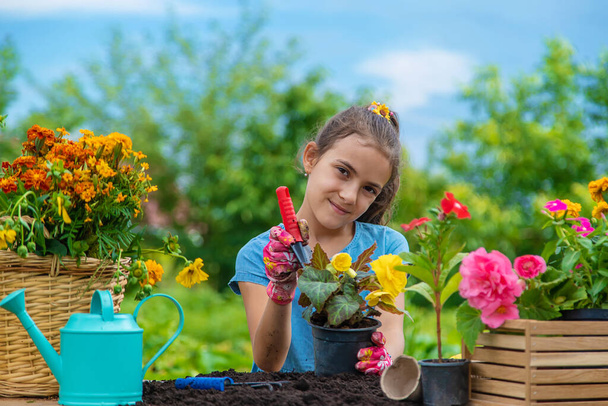 The child is planting flowers in the garden. Selective focus. Kid. - Φωτογραφία, εικόνα
