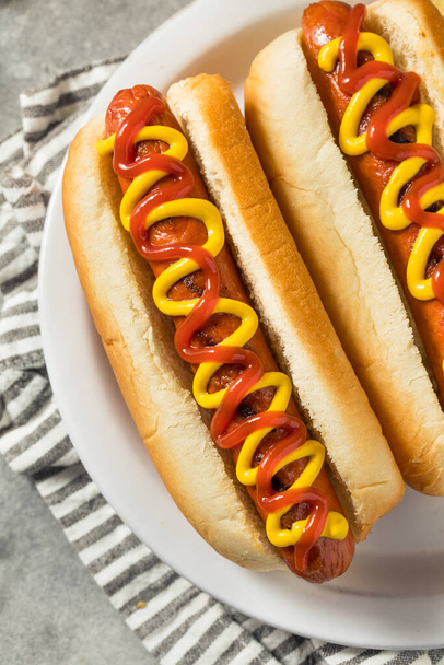 Homemade Hot Dog with Ketchup and Mustard with Potato Chips - Photo, Image