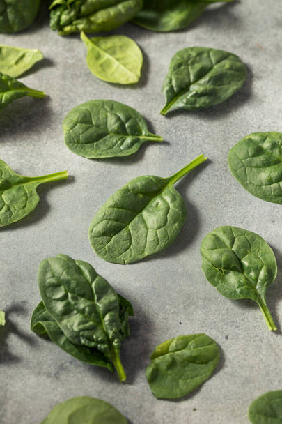 Raw Green Organic Baby Spinach Ready to Cook - Valokuva, kuva