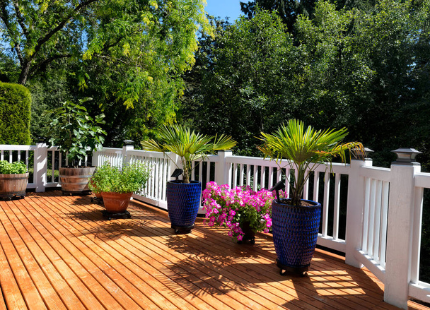 Home garden on outdoor wood cedar deck during summer time  - Foto, Imagen