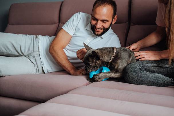 Cheerful Man and Woman Having Fun with Their Pet, Small French Bulldog Playing with Toy on Pink Sofa - Foto, immagini