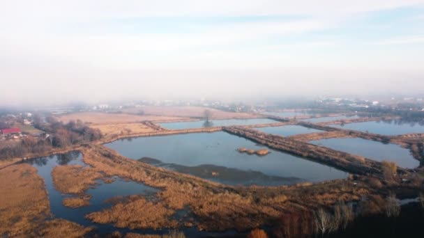 Aerial drone view flight over artificially created lakes for breeding fish and fog from above on autumn day. Industrial fish farming, fisheries. Swamp lake overgrown with dry reeds. Natural background - Filmagem, Vídeo