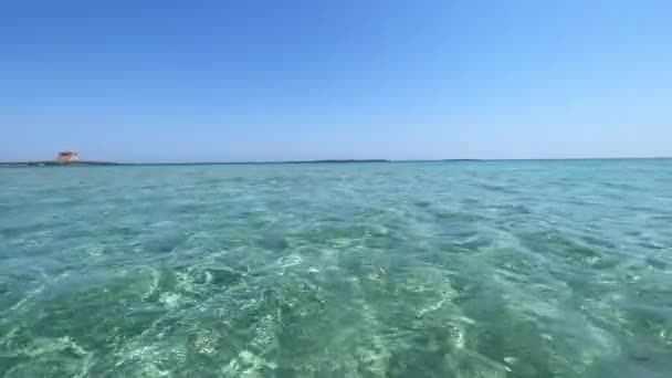 View from the water of the beautiful, pristine and uncontaminated bay of Torre Guaceto Natural Reserve, Italy, with the tower far away and shallow sea. - Πλάνα, βίντεο