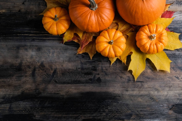 Thanksgiving background concept. Local produce pumpkin and autumn maple leaves as traditional autumnal holidays decoration on a dark wood table. Close up, copy space for text, top view, flat lay. - Fotografie, Obrázek
