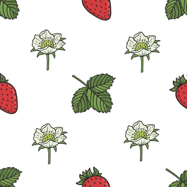 Fruits and vegetable collection. Vector graphic seamless pattern with strawberry plant. Flowers, berries and leaves on a white background - Vektor, Bild