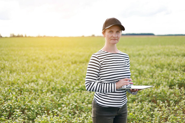 ένας θηλυκού αγρονόμου με δισκίο ελέγχει την ανάπτυξη ενός αγρού με άνθη φαγόπυρου. η γυναίκα εξετάζει το πεδίο και εισάγει τα δεδομένα σε ψηφιακή ταμπλέτα. Σύγχρονες γεωργικές επιχειρήσεις - Φωτογραφία, εικόνα