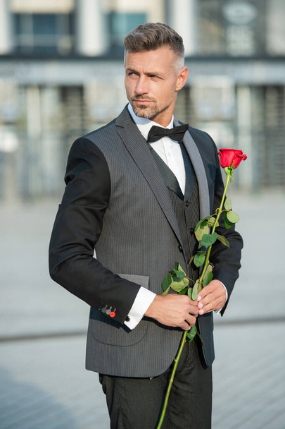 valentine day concept. hoary black tuxedo man with valentine rose. flower gift for valentine day. - Фото, зображення