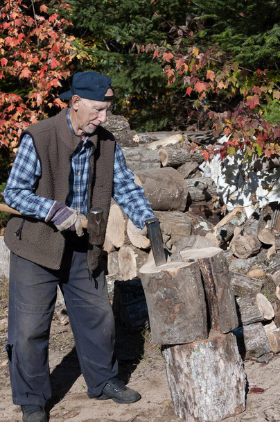 elderly  lumberjack in action preparing woods for winter - Foto, afbeelding