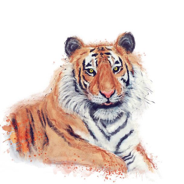 Digital Watercolor Painting Of Tiger on White Background - Foto, Imagem