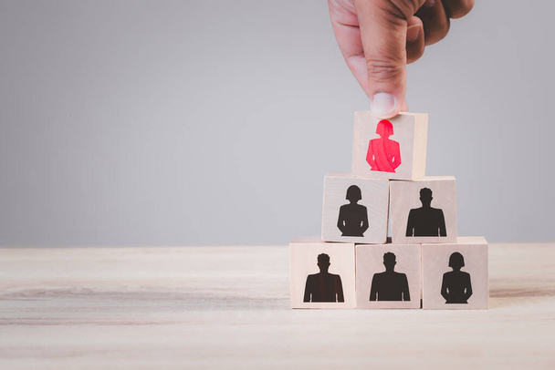 Human resources talent management and recruitment business building team, organization concept, Person icons on wooden cube block on top with woman leadership in business concept - Fotoğraf, Görsel