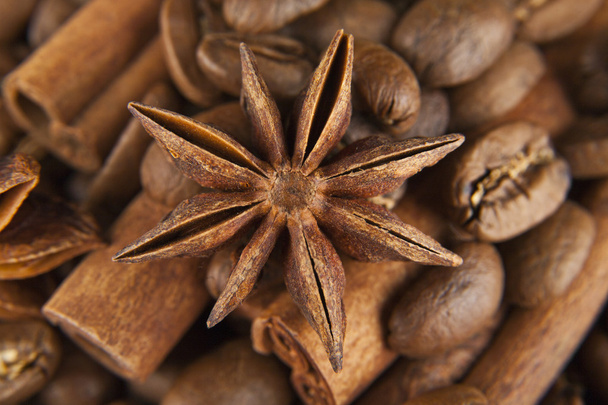 grains of coffee and seasoning - Foto, Bild