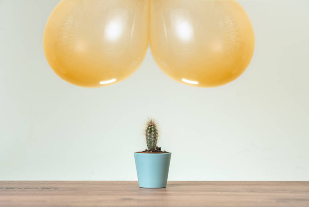 Balloons floatingon air close to cactus. Balloons symbolizes butt, cactus is hemorrhoid. - Foto, Imagen