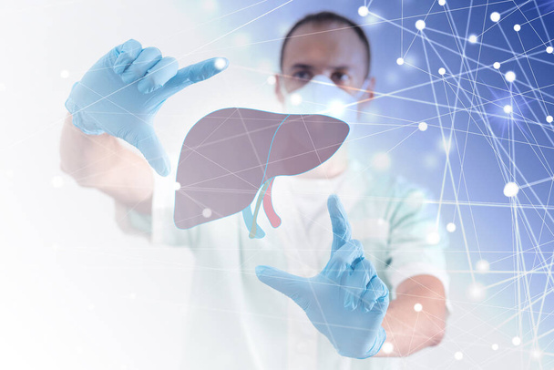 male doctor touches virtual Liver in hand. Blurred photo, handrawn human organ, highlighted red as symbol of disease. Healthcare hospital service concept stock photo - Foto, immagini