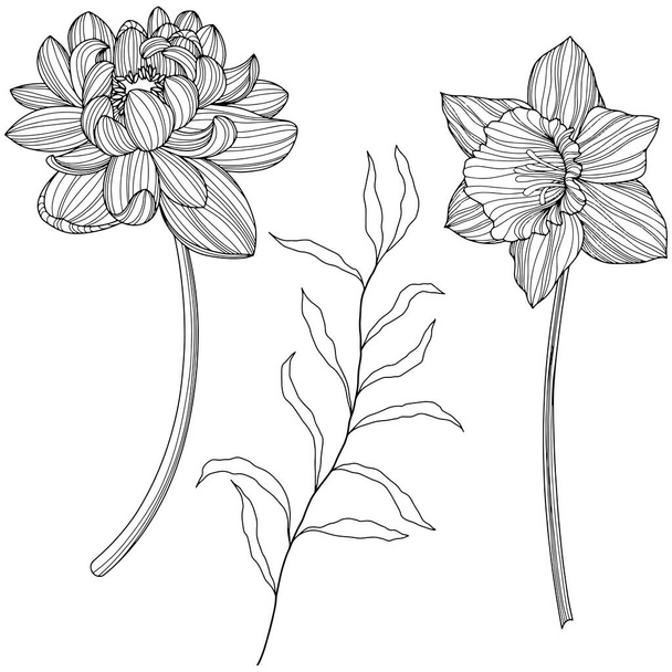 Kivonatos virágok elszigetelve a fehér. Kézzel rajzolt vonalvektor illusztráció. 10. rész - Vektor, kép