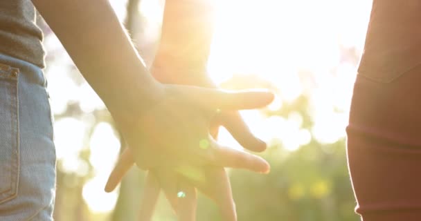 Hands held together with sunlight flare in the background - Materiał filmowy, wideo