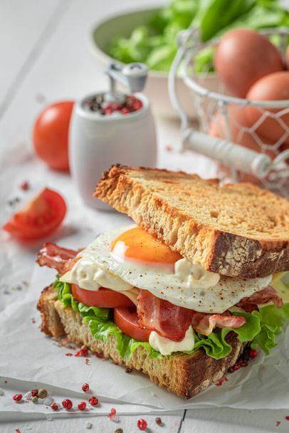 Tasty and homemade toasted sandwich with bacon, mayonnaise and egg. Sandwich with eggs and bacon. - Fotoğraf, Görsel