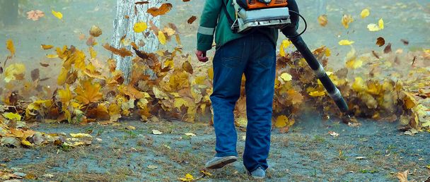 A man blows off autumn leaves in an autumn park while cleaning a park - Fotoğraf, Görsel