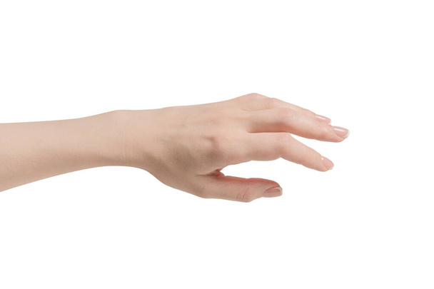 Mãos de mulher com manicure francês isolado em um bacckground branco. - Foto, Imagem