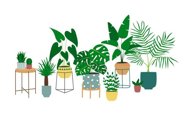 Hand drawn houseplants design. Trendy composition with home decorations. Isolated vector illustration - Vector, Imagen