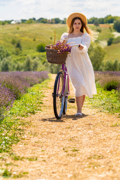 Young woman wheeling her bicycle down a country lane between fields of fresh lavender on a farm - Фото, зображення