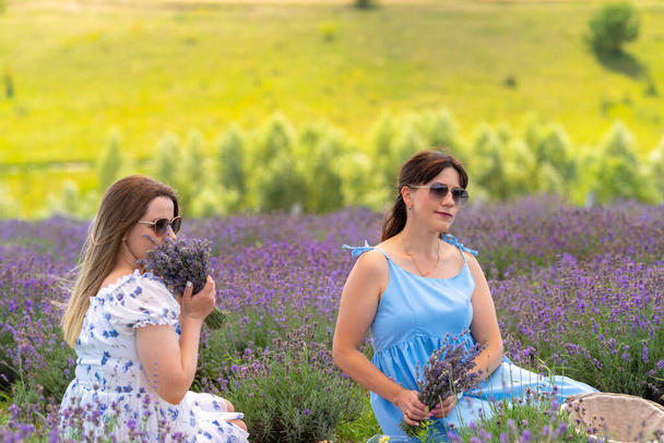 Two young women friends sitting in a field of lavender in evening light with fresh bunches of flowers that they have picked - Φωτογραφία, εικόνα